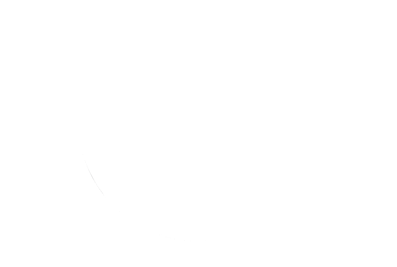 Spin Play review